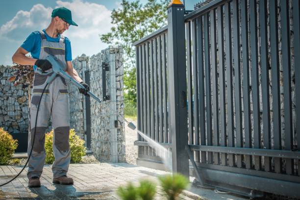 Best Graffiti Removal  in Webb City, MO